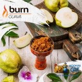 Табак Burn Guava (Гуава) 100г Акцизный Табак Burn Guava (Гуава) 100г Акцизный